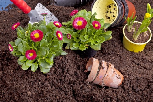 Illustration of cookie settings for Gardeners Somers Town