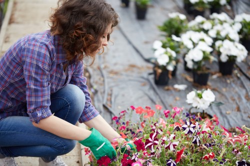 Landscaping in Somers Town with a neat urban garden design