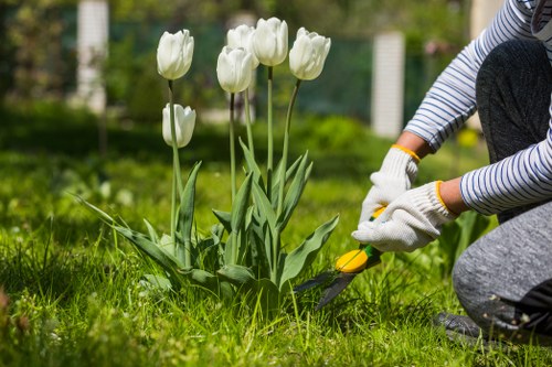 Hard and soft landscaping features suited to Somers Town properties