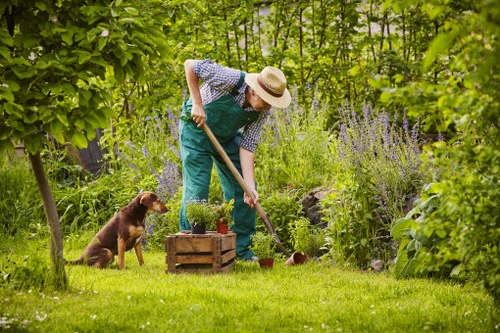 Gardeners in Somers Town improving a compact London garden