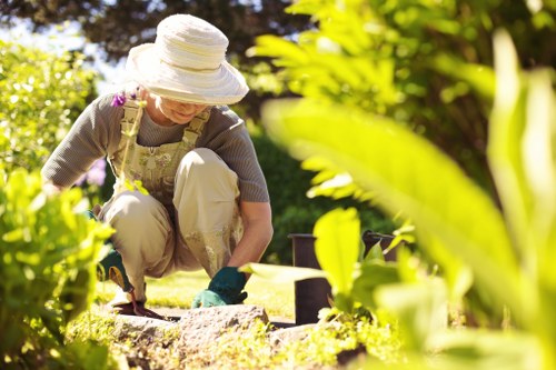 Gardening services in Somers Town for small urban gardens
