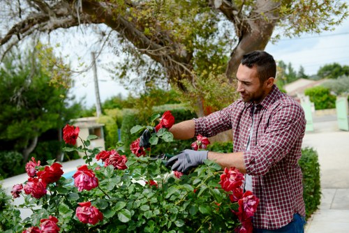 Gardeners Somers Town recycling green waste at the start of a sustainability-focused article