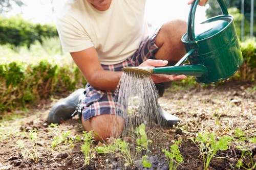 Local gardeners introducing garden care in Somers Town