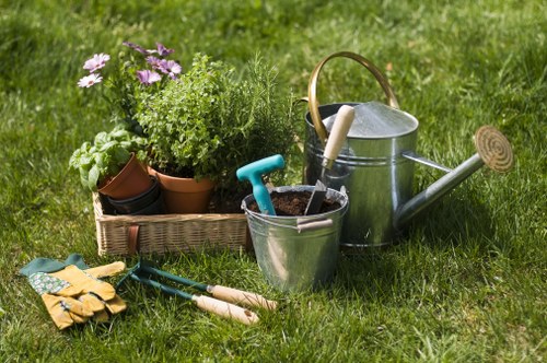 Local tree care services for Somers Town properties