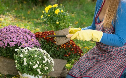 Complaint investigation process for gardening services