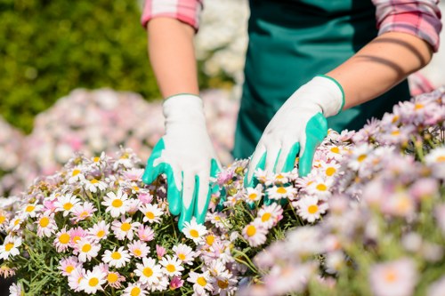 Secure payment illustration for Gardeners Somers Town transactions
