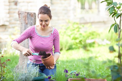 Professional lawn care for compact Somers Town outdoor spaces