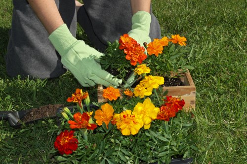 Public liability insurance and professional gardening safety in Somers Town