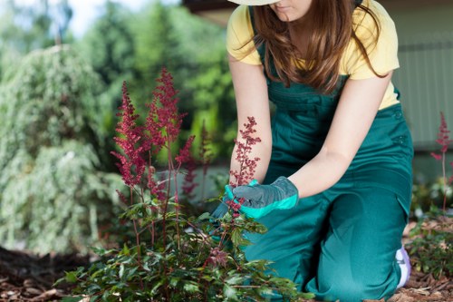 Liability and waste handling rules for gardening services