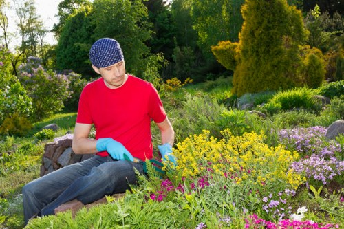 Team assessing hazards before gardening work
