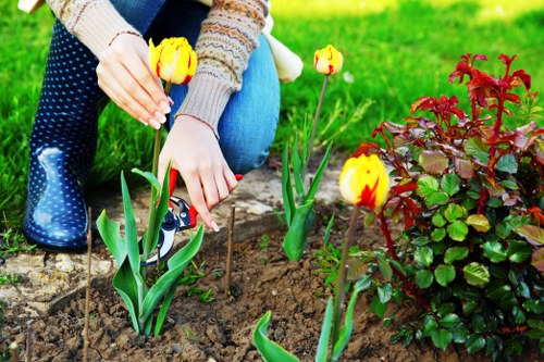 Professional landscape gardening in Somers Town with a stylish seating area
