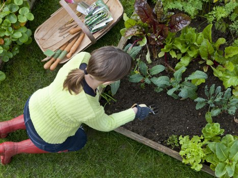 Professional garden clearance in Somers Town handling branches and debris