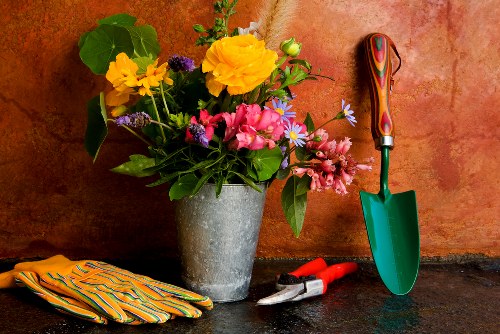 Local gardening services in Somers Town for regular maintenance