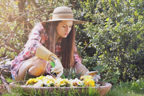 Professional patio cleaning equipment in Somers Town