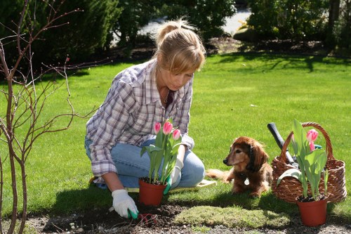 Cubic-yard pricing for garden clearance and hedge trimming in Somers Town