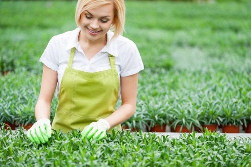 Gardening services for homes, flats, and businesses in Somers Town