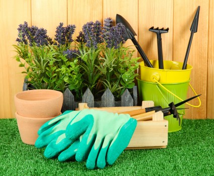 Charity partnerships supporting reuse of garden materials in Somers Town