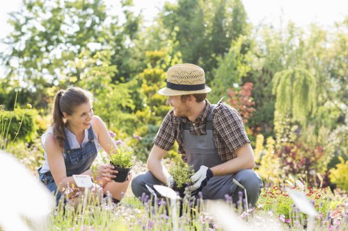 Somers Town garden maintenance with tidy planting beds and shrubs