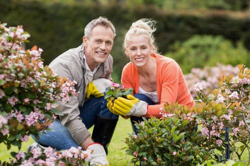 Durable boundary fencing solutions for Somers Town gardens and premises